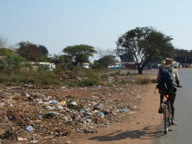 Cyclists and Electric Scooters Meet in a Collision