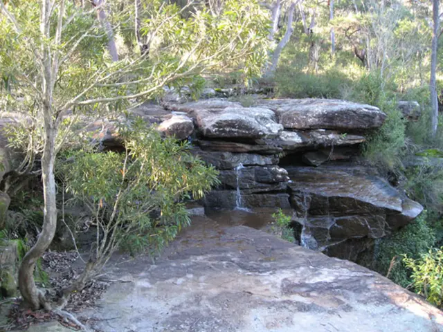 Methods for Achieving a Tiered Waterfall Design in Bonsai Artistry