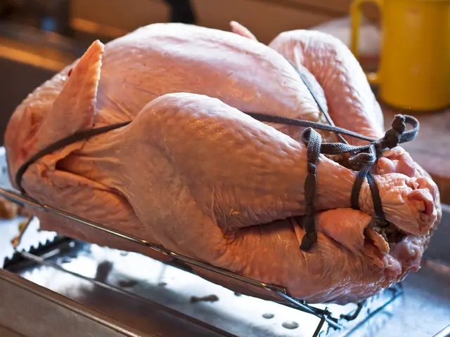 Shark Tank Updates: Innovative Product Turbo Trusser Reveals Exciting Advancements