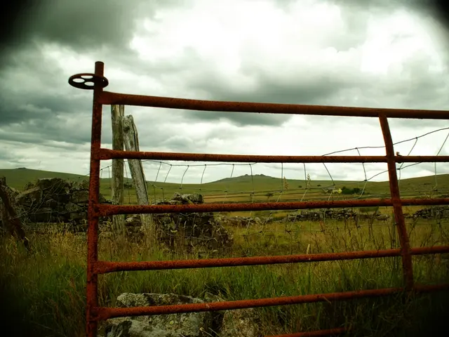 Sizzling Up the Barbecue!
