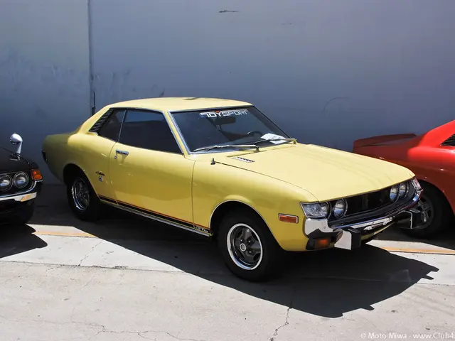 Secret hidden within the black specks