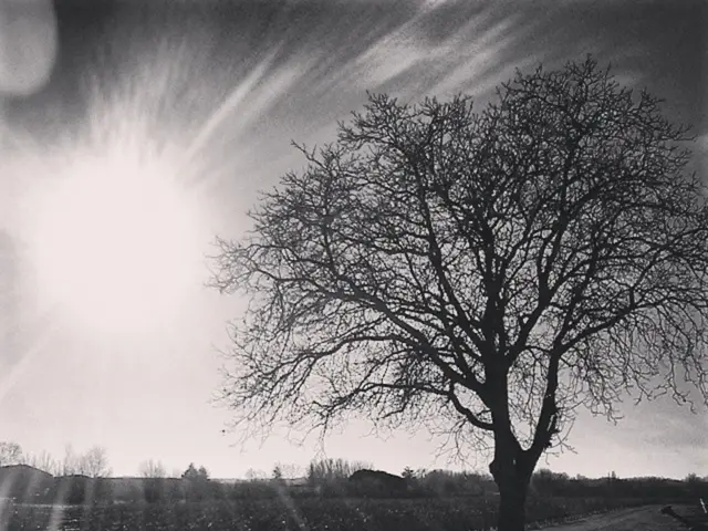 Solar Expiration: Exploring the Demise of Our Star - Timeline and Methods of Sun's End