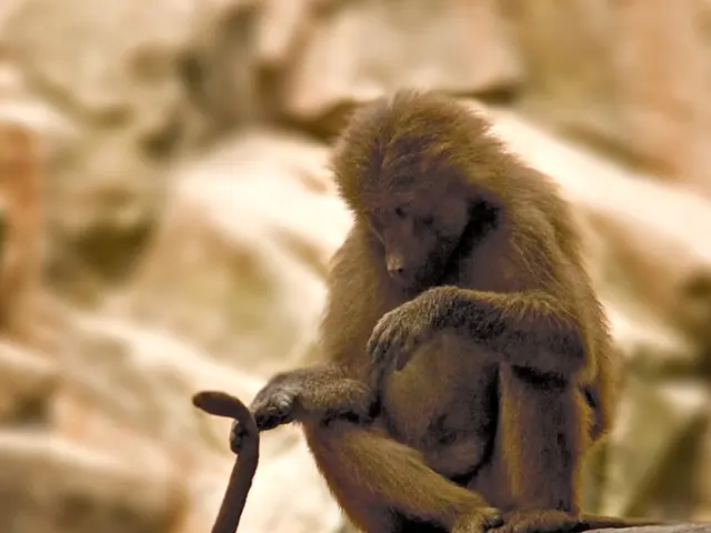 Unofficial USD to NGN Exchange Rate on August 30, 2025