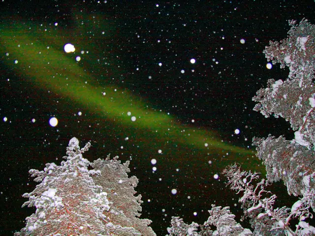 Unexpected snowfall puts several areas of South Australia in a winter wonderland