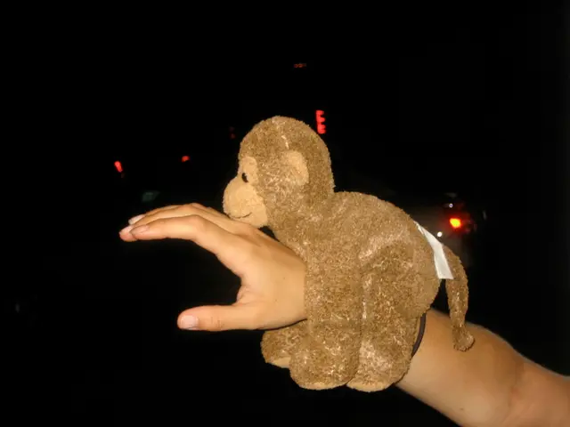 Q&A Session with Emily Knight, University Faculty Member