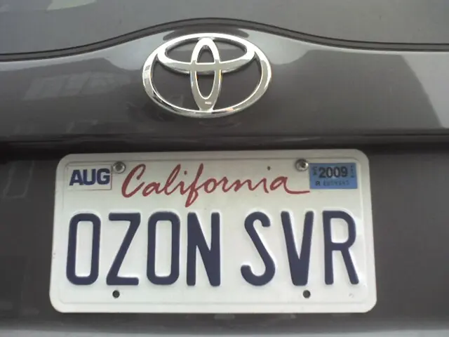 Expanded Abbreviations for License Plates Across Hundreds of Locations: A Discussion on the Ensuing...