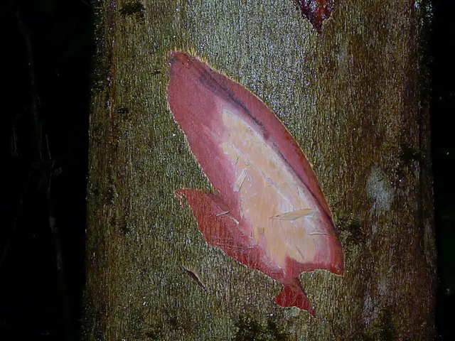 Prompting biological cells to respond mechanically for potential regenerative applications