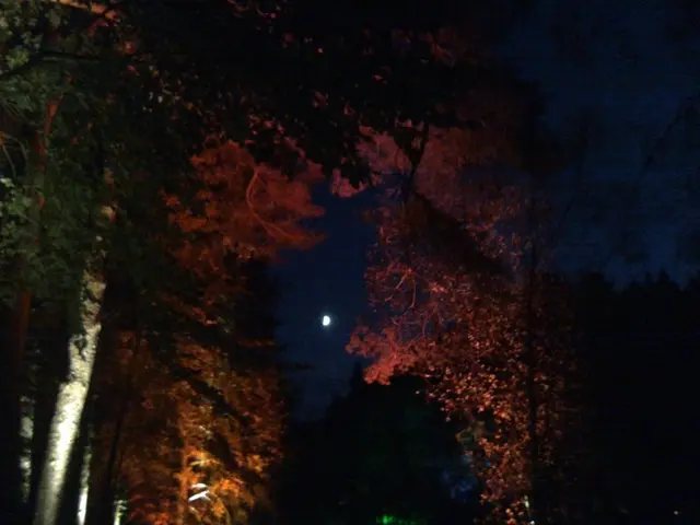 Astrology with an Evolutionary Twist Gains Prominence: Steven Forrest Makes an Appearance