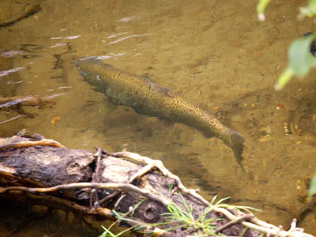 Lake Cuitzeo in Michoacan is experiencing rapid water depletion