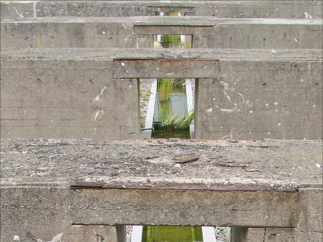 MACH Energy Australia Pty Ltd confronts environmental ramifications in the case of Denman Aberdeen...