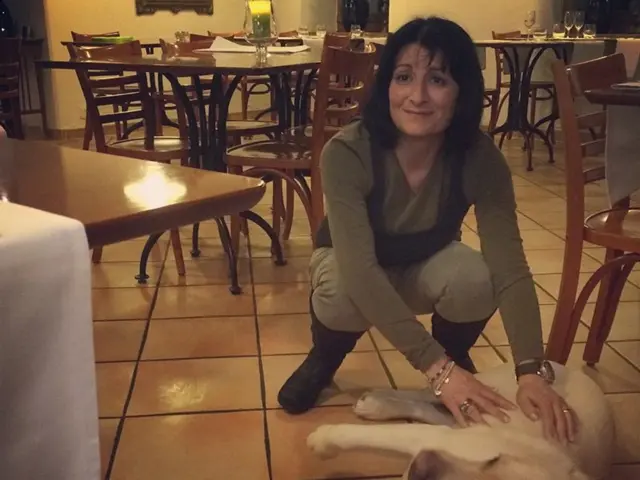 Dog exhibiting playful barking: Explanation from a specialist