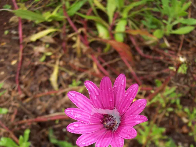 Water droplets potentially initiating life on Earth through micro-sparks