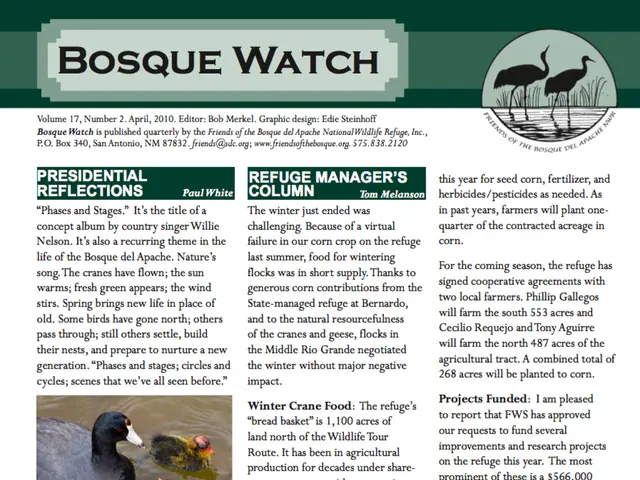 Giant Rubber Duck statue set to make its first appearance in the Chicago area this coming Saturday