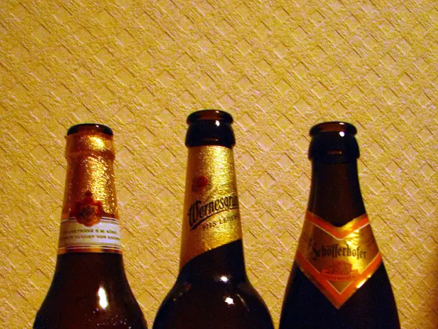 Omega-3s and Their Effects: A Review of Advantages, Disadvantages, and Further Information