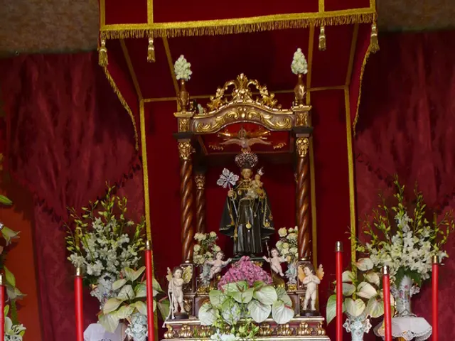 Blossom encounters receptacle