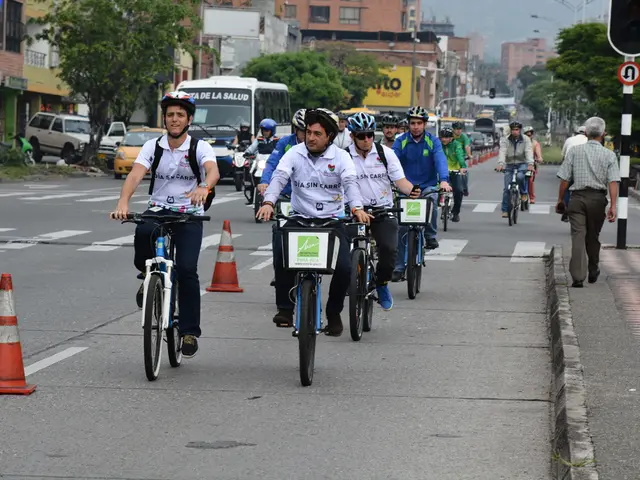Biker falls in the woods with a bicycle in Hagen