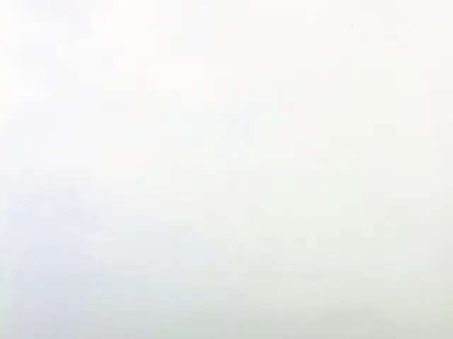 Malaysia's National Flag: Essential Information and Proper Etiquette for Display