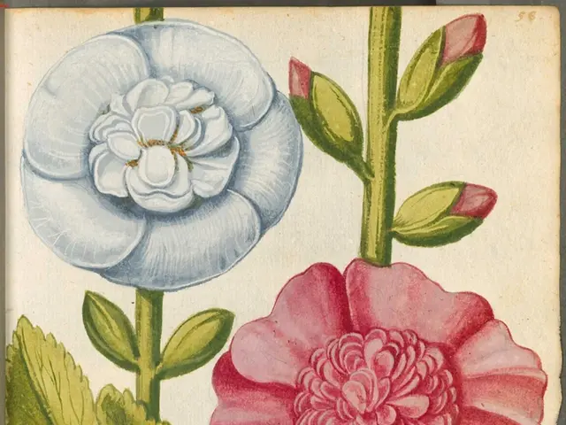 Friedrich's infinite pursuit of the transcendent or indescribable brilliance