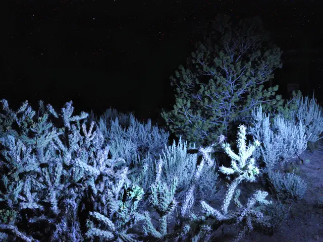 Satellites Launched by Esper Carry Hyperspectral Imaging Device into Space