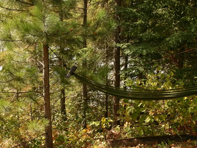 Outdoor Weaving Projects Employing Natural Materials for Captivating Results