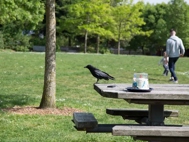 Outdoor photography tasks for kids that ignite curiosity and amazement in nature