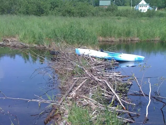 7 Exciting Geography Outdoor Treasure Hunts to Enhance Practical Knowledge and Skills