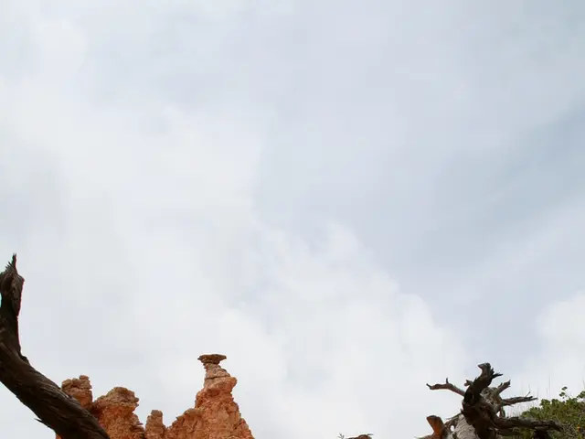 Anticipated Weather Condition for Senator Canedo on Sunday (31): Light Haze, Dry Fog