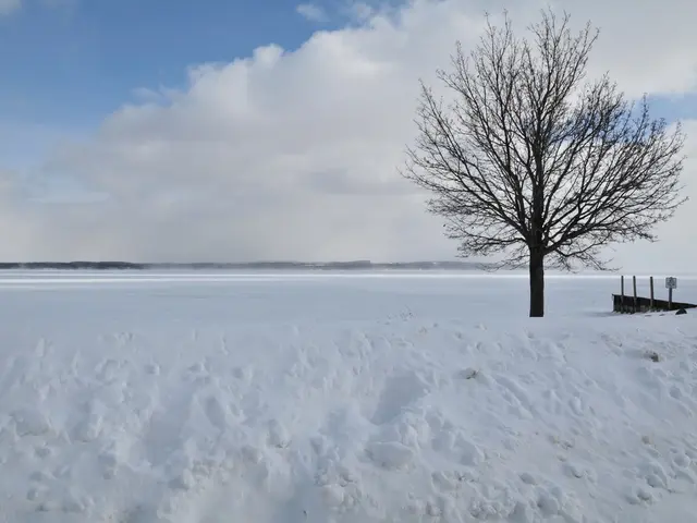 Rainy and windy farewell to summer in Vladivostok expected on the last day