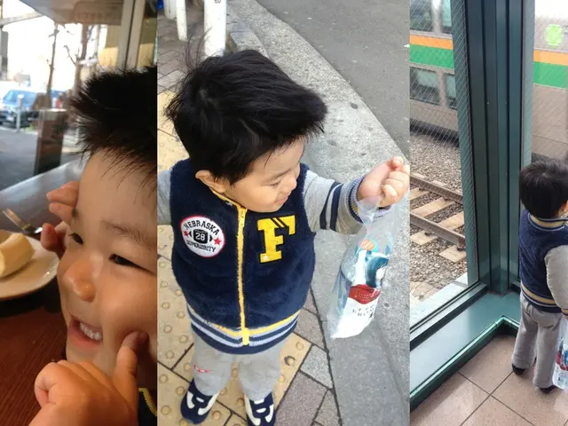 Child found and returned safely to family after straying onto Monorail paths in Hersheypark