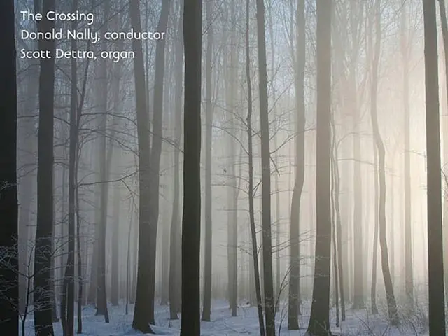 Record-breaking low winter Arctic Sea Ice extent in 2016, as captured on video.