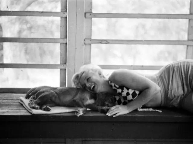 Terrorism suspect from Mississippi admits guilt to joining ISIS upon indictment