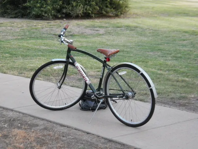 Duke's Emmy Square transforms into an eco-friendly zone