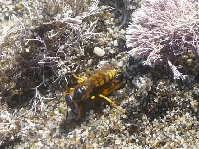 Focus on the goal at hand