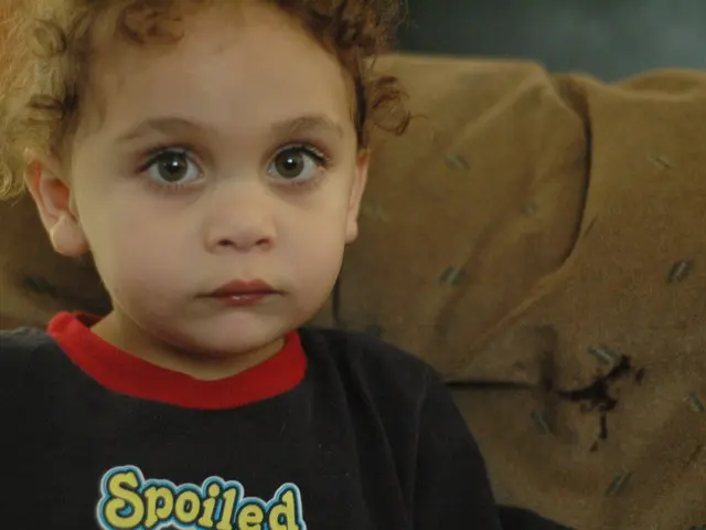 Netherlands' Status Remains Unknown to the Commission