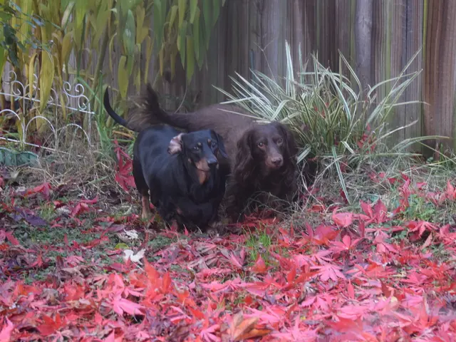 Law enforcement agencies are seeking individuals who may have relevant information.