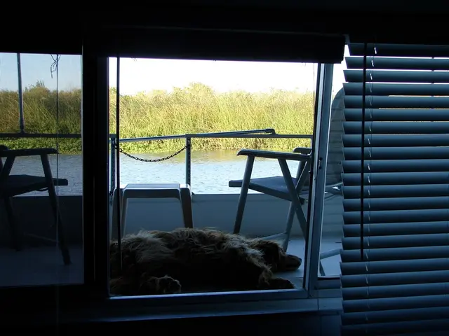 Daily Updates - Positive News from Rhineland-Palatinate