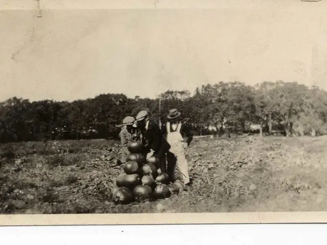 Fire-themed giant pumpkin statues deliver a fiery encounter for tourists in Kaiserslautern