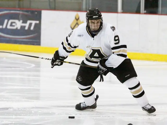 Running Ice Run game.