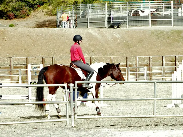 Authorities seek potential eyewitnesses.