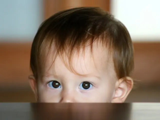 Week 14: Morphing of Baby's Unique Visage Takes Shape