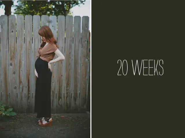 Commencing the Second Trimester in Week 13