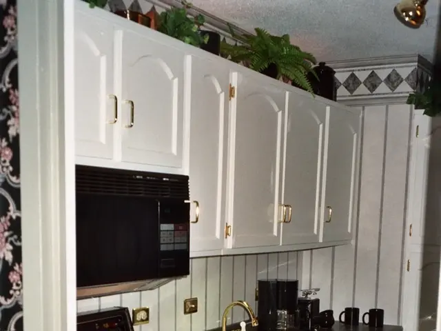 Dakota Johnson's colorful green kitchen renovation inspires kitchen cabinets seasonal change