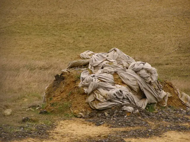 Post-Rainfall: Dispersed Cattle Manure Spotted at the Lantern Festival Event