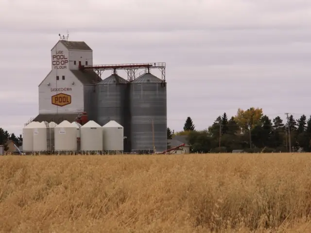 Financial Harmony's Major Obstacle: A Clash Between the CFO and the CSO Over Energy Matters