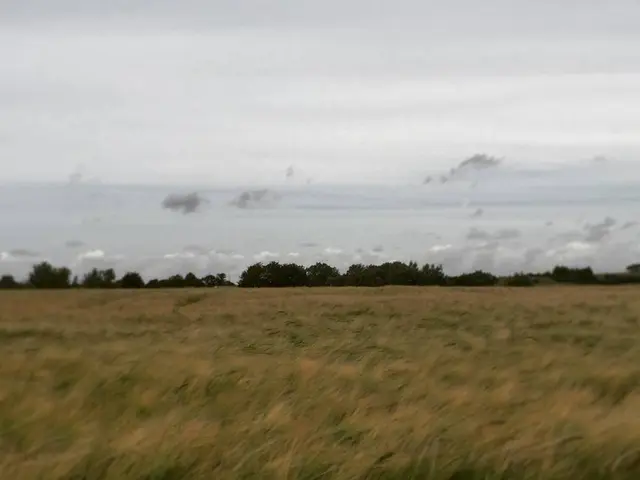 Enjoyable Weekend Vacation Approaching