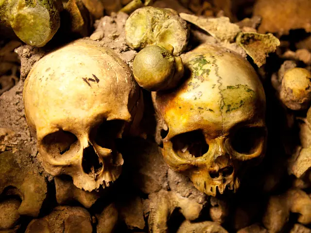 Mysterious Asian episode of human history concealed within the Toothstone artifact