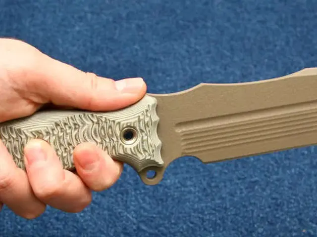 Authorities are delving into the predicament at hand.