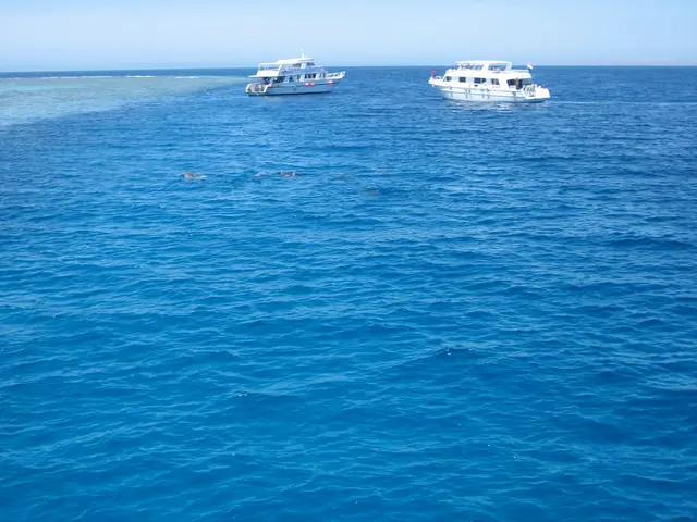 Ships Crash Without Any Reported Casualties