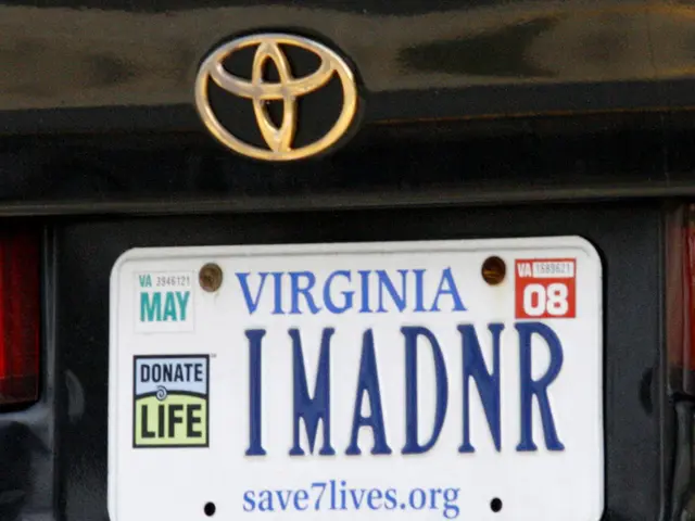 Insurance Policies to Ponder Over by Nigerians in 2025