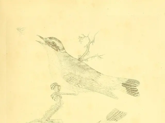 A guide on sketching Mo Willems' iconic character, the Pigeon